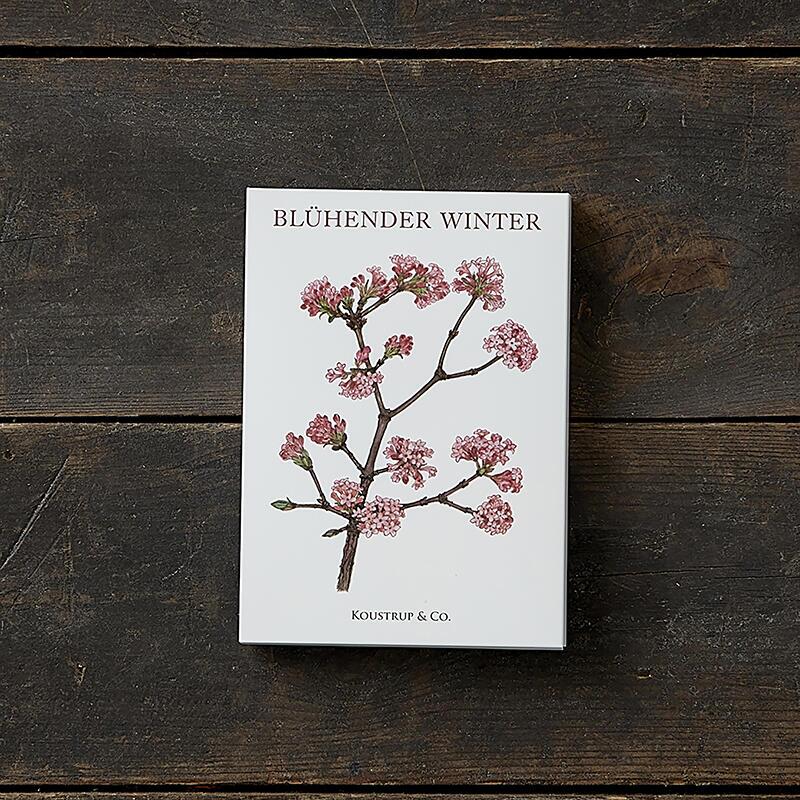 BLÜHENDER WINTER - 8 kort (tyska)
