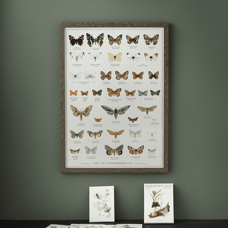 SOMMERFUGLE - Plakat A2