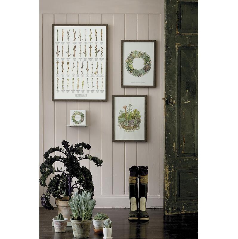 ART PRINT A3 - Succulent wreath