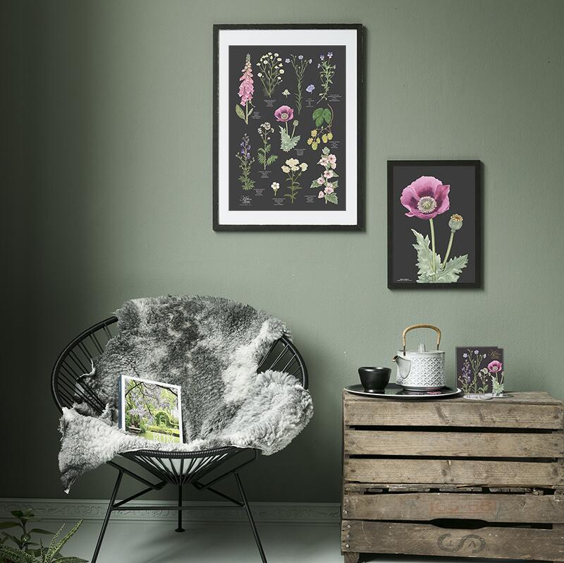 PLATEAU Ø38 - Coquelicot rose