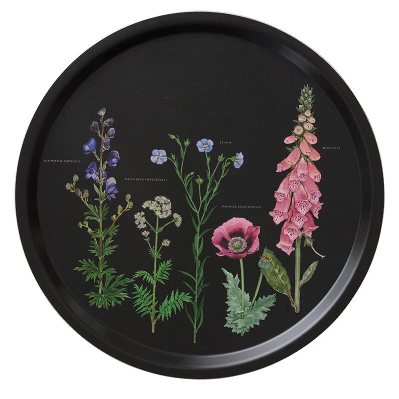 PLATEAU Ø38 - Jardin du monastère