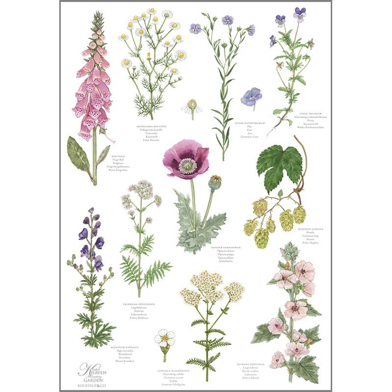 ØKOLOGISK VISKESTYKKE - Klosterhaven