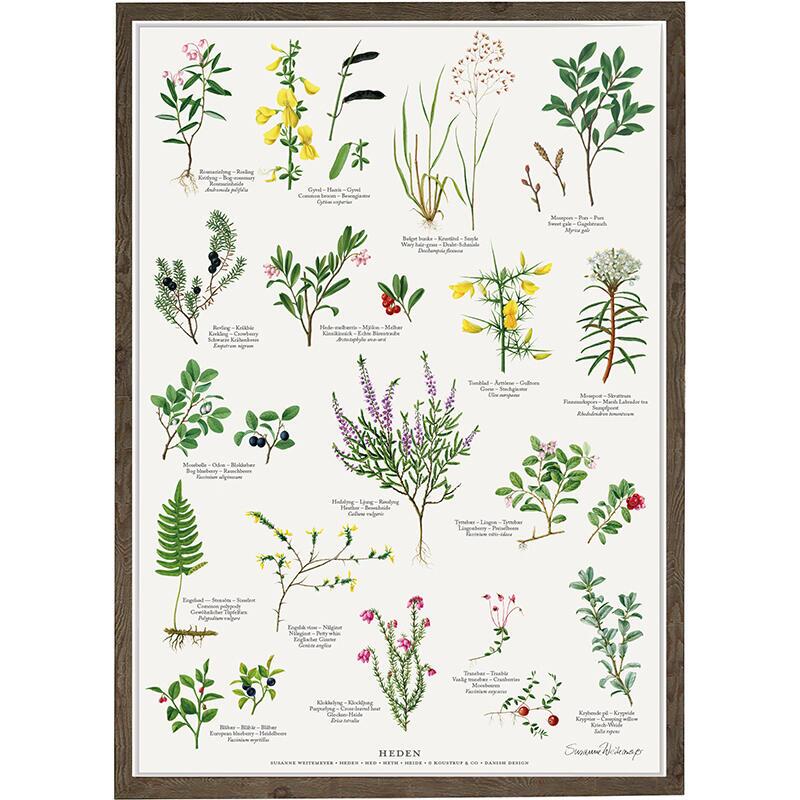 TRYK A4 - Heden - UDSOLGT