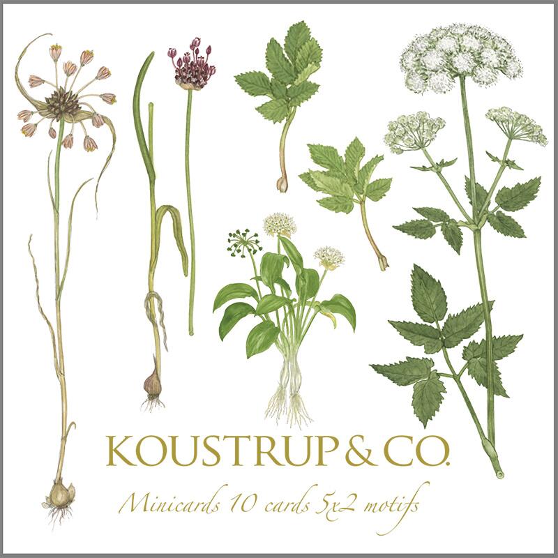 MINIKORT KVADRATISK - Spiselige vilde planter - 8,5 x 8,5 cm