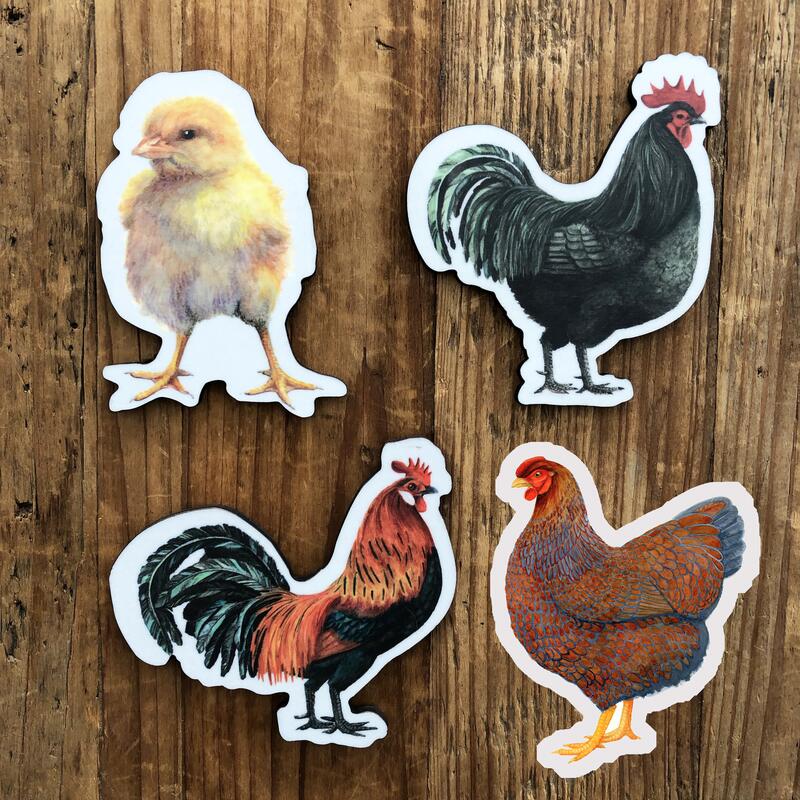 AIMANTS - EUKALYPTUS, Høns