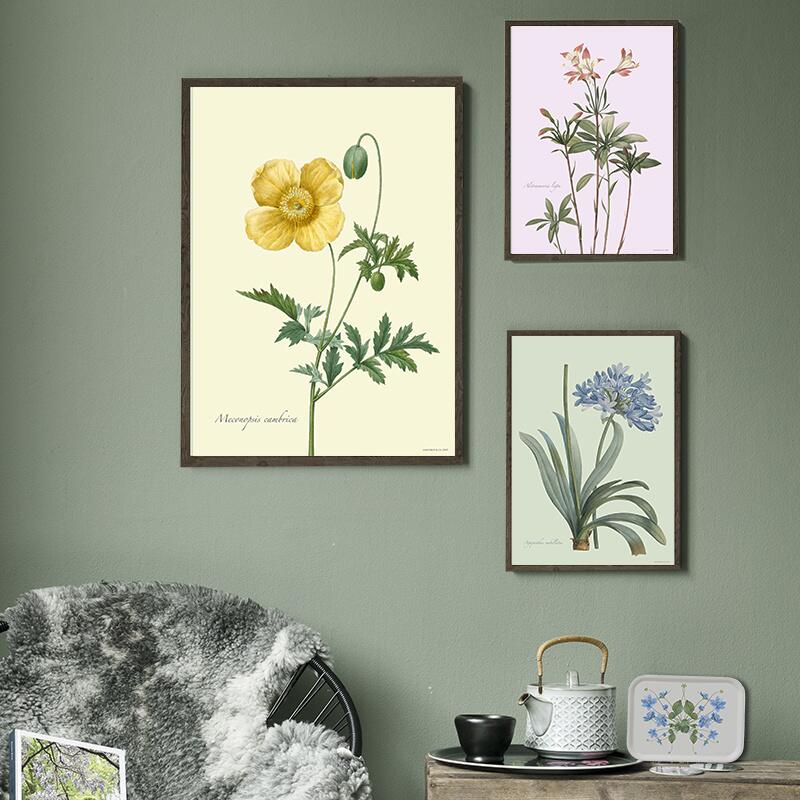 Pavot jaune - ART PRINT - CHOISISSEZ LA TAILLE