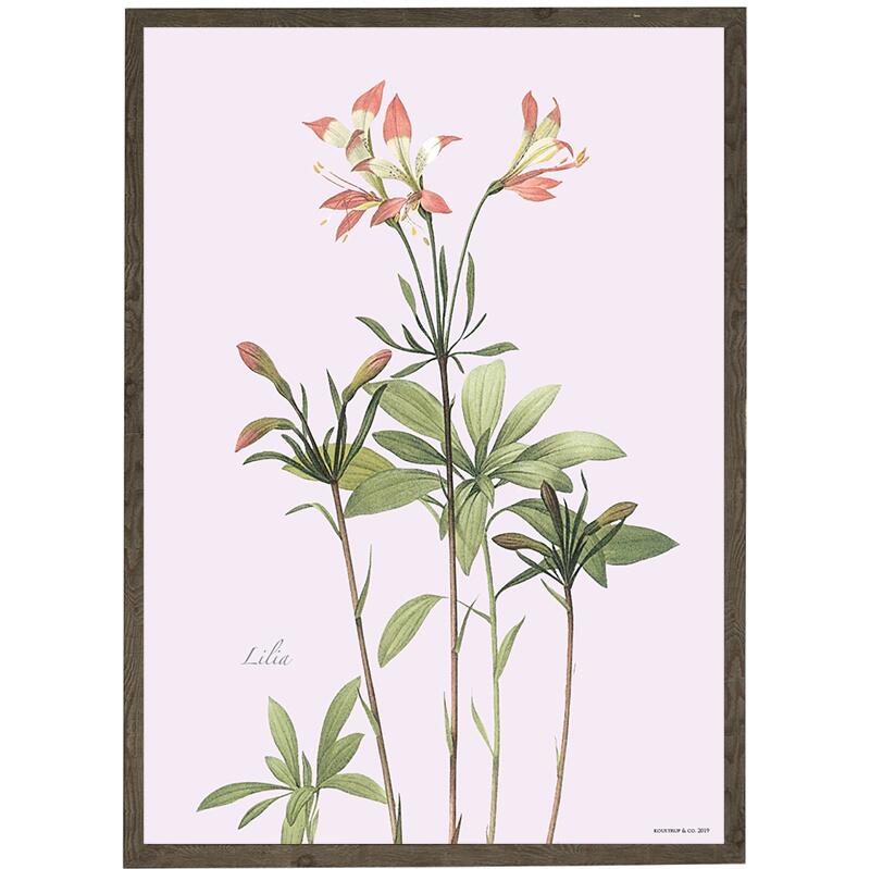 Lily - ART PRINT - CHOISISSEZ LA TAILLE