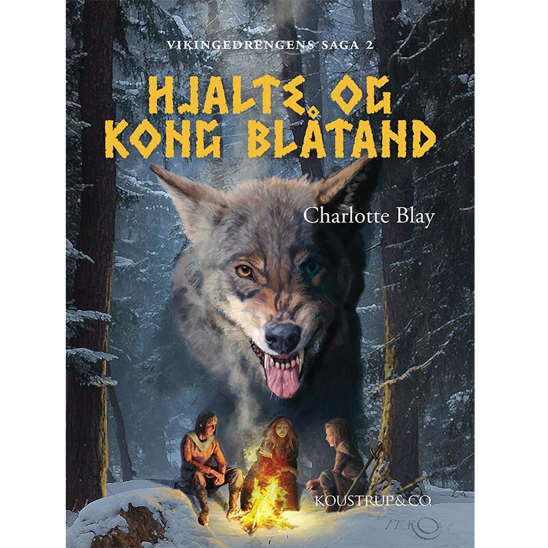 LIVRE: Hjalte et King Blue tooth - Une histoire viking