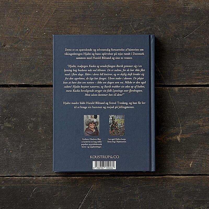 LIVRE: Hjalte et King Blue tooth - Une histoire viking