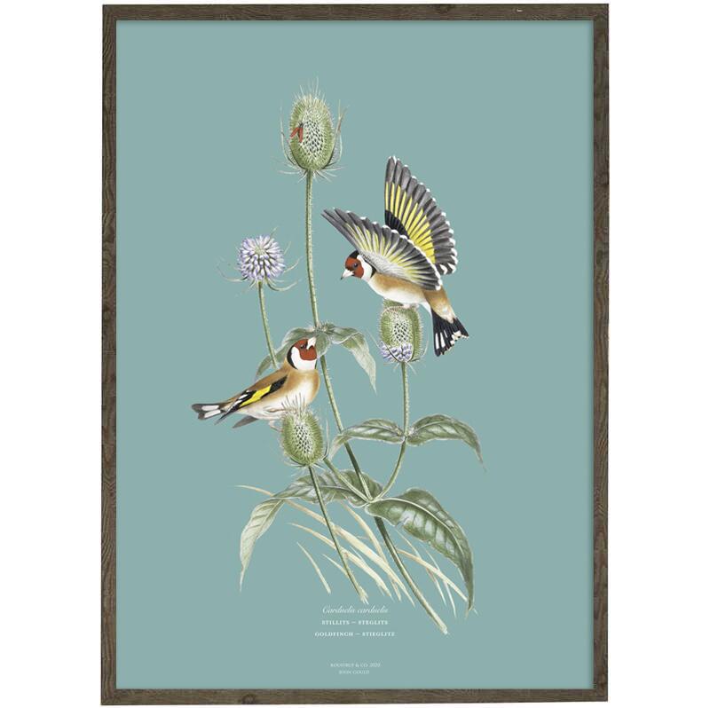 ART PRINT - Goldfinch - CHOOSE SIZE