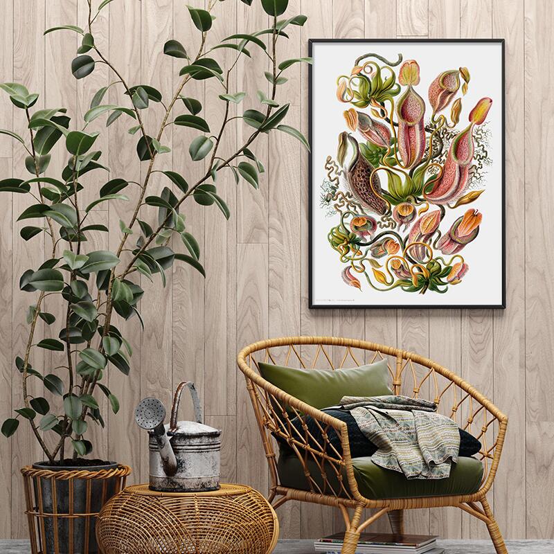 Plante carnivore - ART PRINT - CHOISISSEZ LA TAILLE