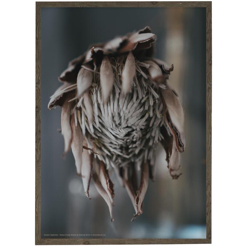 METAMORPHOSE - Photo d'art - Choisir la taille