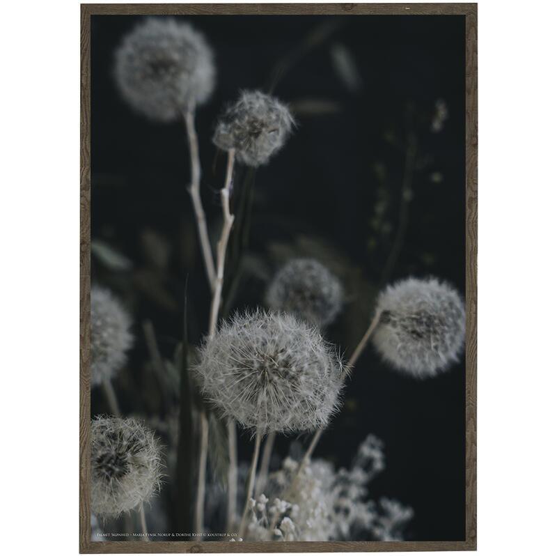 SOMMARGHOSTS - fotokonst - välj storlek