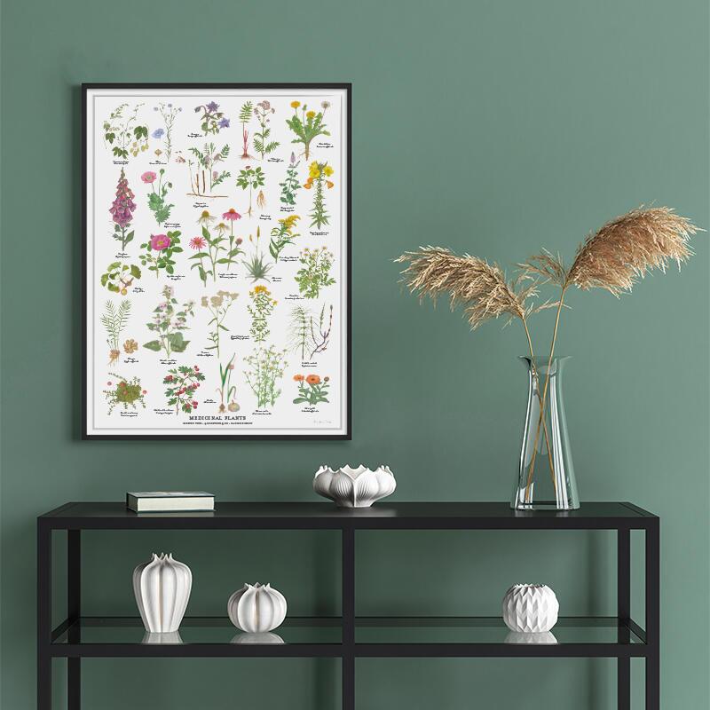 Plantes médicinales