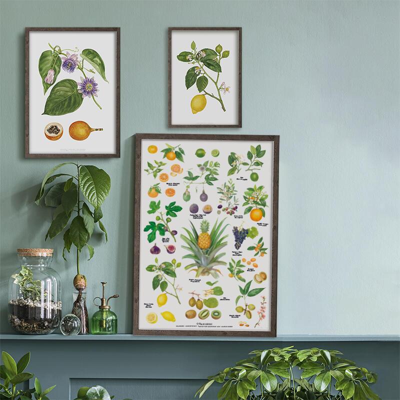 ORANGERI - Plakat A2