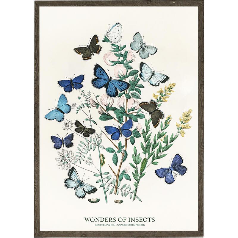 Butterflies - KUNSTDRUCK - GRÖSSE WÄHLEN