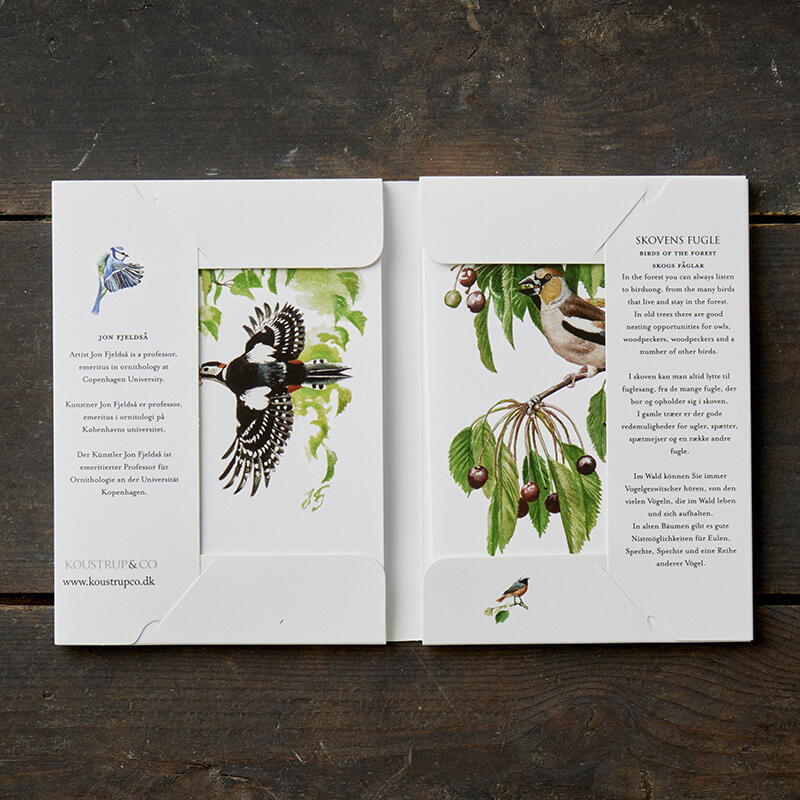 Birds of the forest - 8 cards