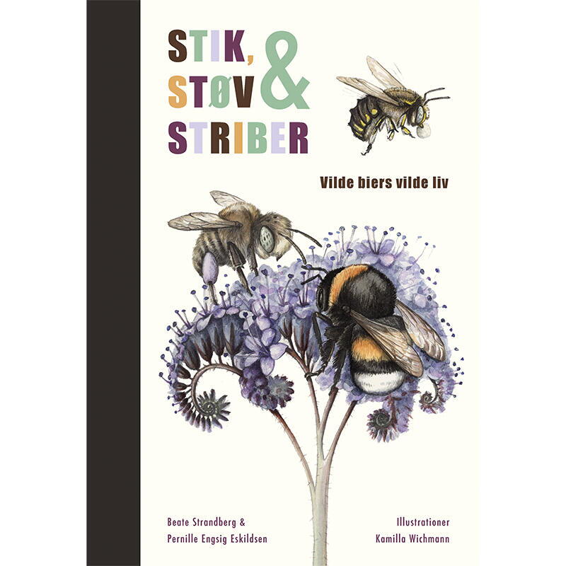 PIQÛRES, POUSSIÈRE ET RAYURES