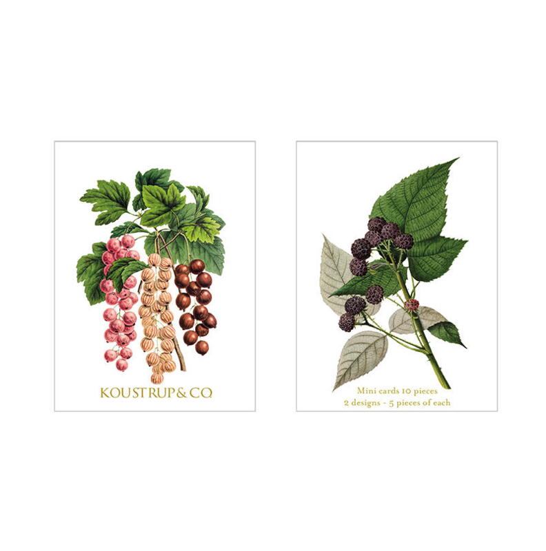 MINIKORT SOMMER – Ribs