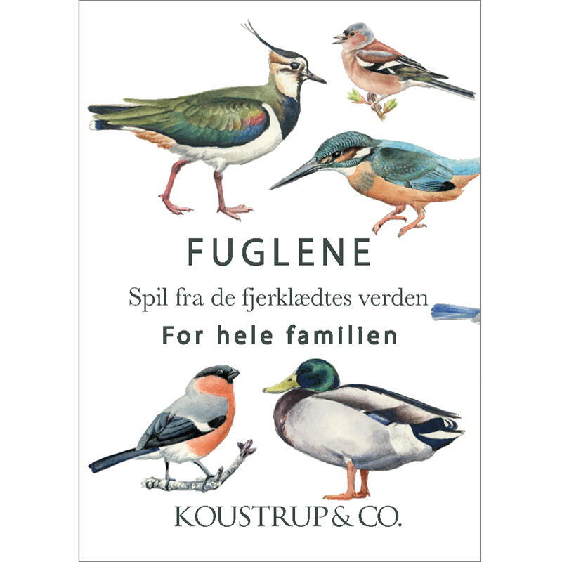 læringsspil med fugle