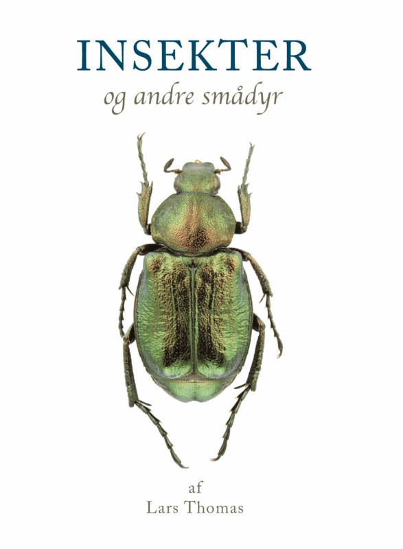 Insekter - og andre smådyr