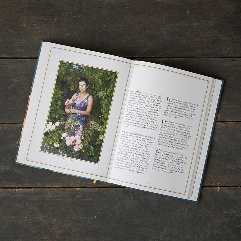 Lyngvilds eventyrlige roser