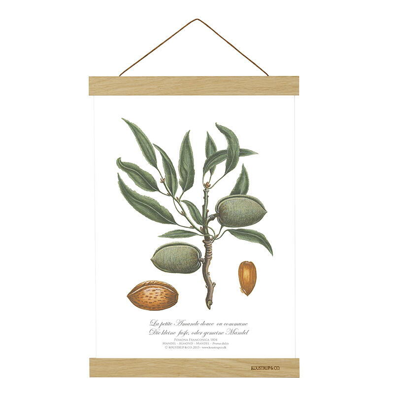 POSTER HANGER A4 - Oak