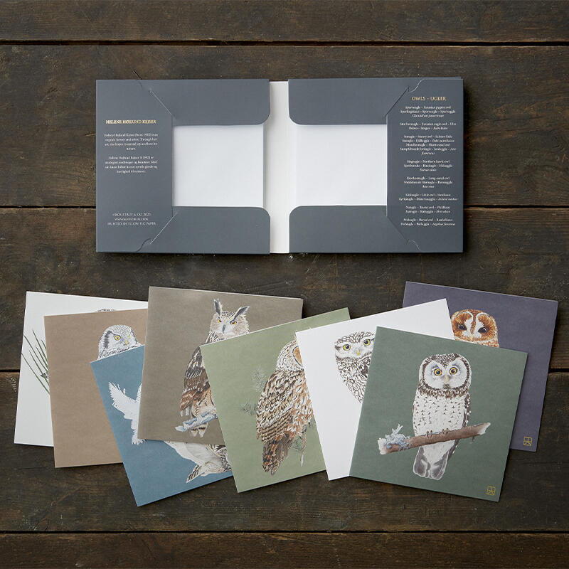 OWLS - SQAURE CARDS