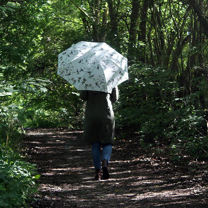 UMBRELLA -  Garden birds