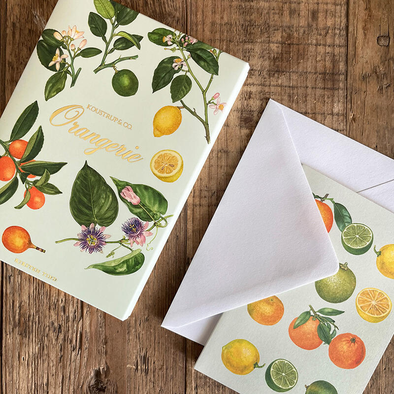 ORANGERIE - 8 Karten