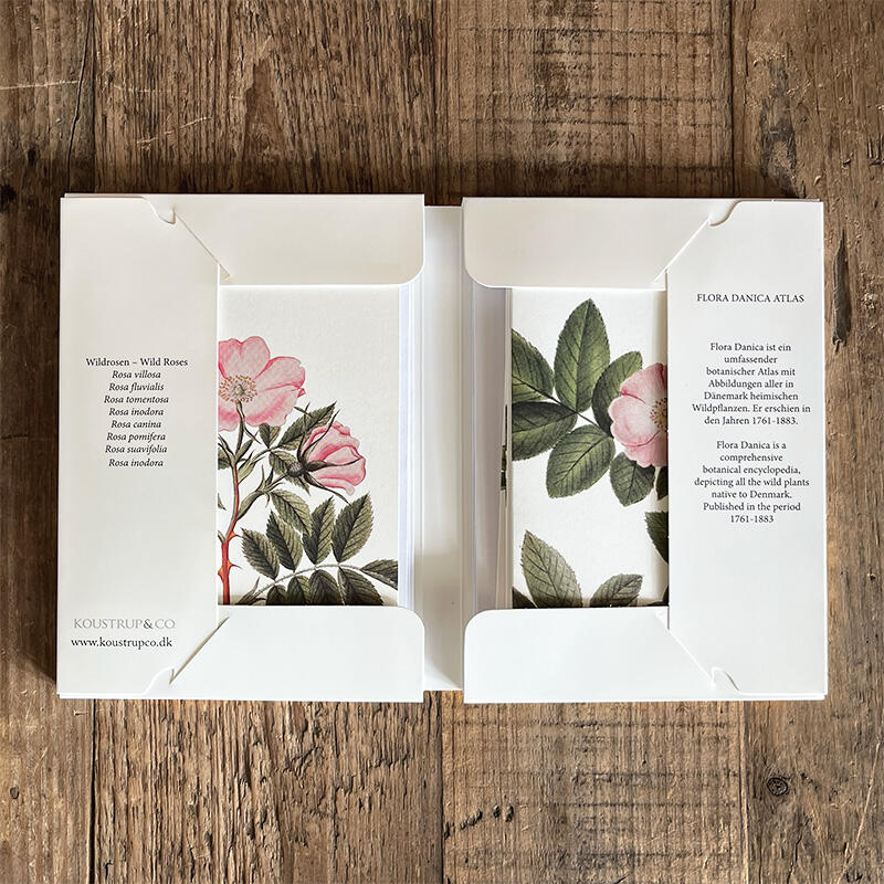 WILDROSEN - 8 Karten