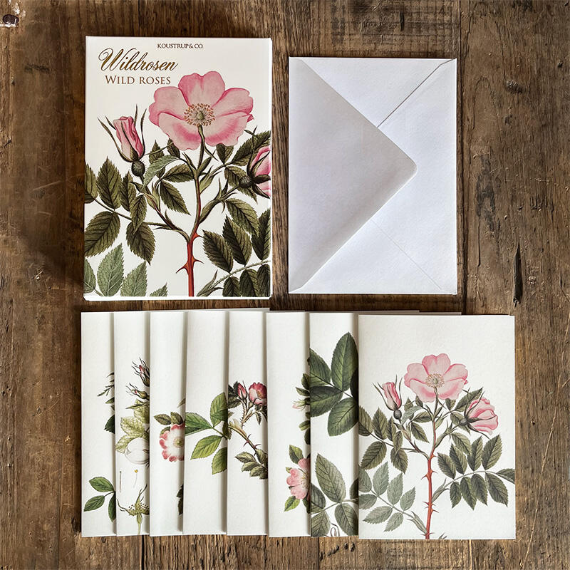 WILDROSEN - 8 Karten