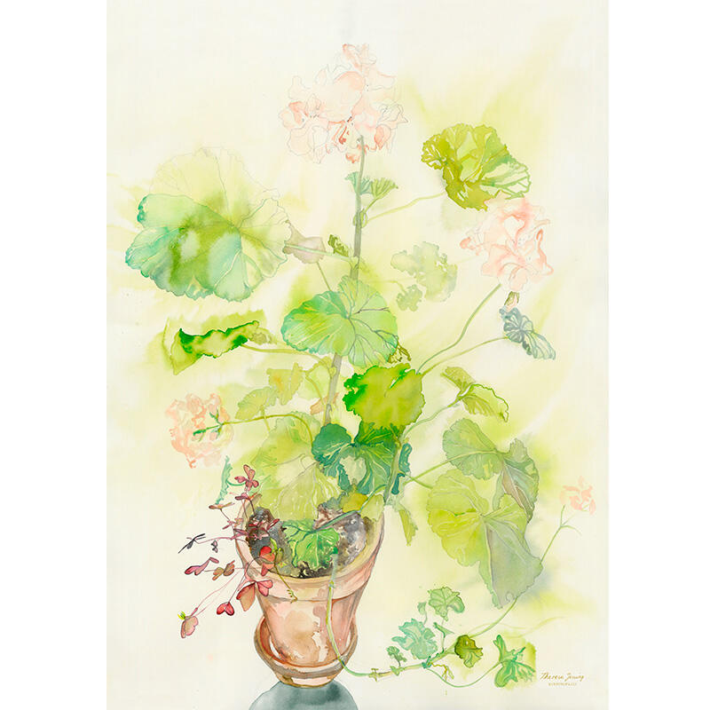 Kunstprint Pelargonium theresa jessing