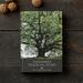 BOOK: Denmark's trees and shrubs (danish text)