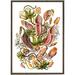Plante carnivore - ART PRINT - CHOISISSEZ LA TAILLE