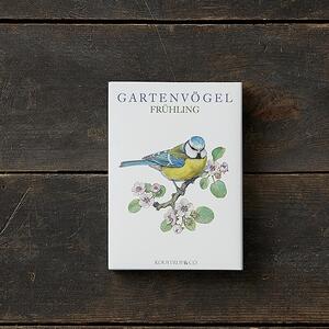 GARTENVÖGEL FRÜHLING - 8 kort (tysk)