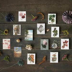 MINIKORT - Efterår (NYE MOTIVER)