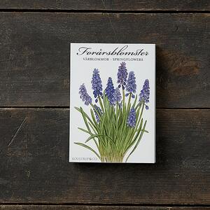 FORÅRSBLOMSTER - 8 KORT
