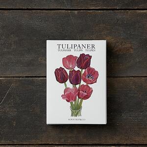 TULIPANER - 8 kort