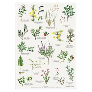 TRYK A4 - Heden - UDSOLGT