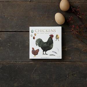 CHICKENS / HØNS - Kvadratisk kortmappe