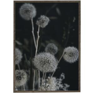 SUMMER GHOSTS - fotokunst - vælg størrelse