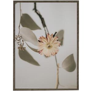 ETERNITY IN A FLOWER - Fotokunst - Vælg størrelse