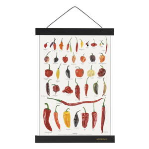 MAGNETSKINNE A4 - Sort