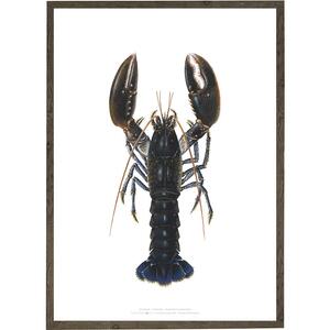 Homard - ART PRINT - CHOISISSEZ LA TAILLE