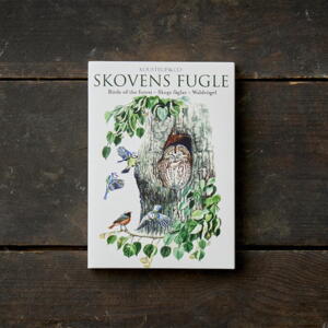 SKOVENS FUGLE - 8 kort