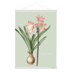 MAGNETSKINNE B2 - Hvid