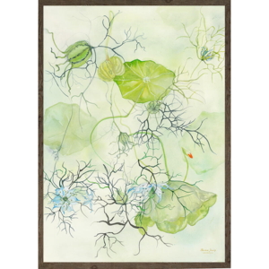 Love in a mist - KUNSTPRINT - VÆLG STØRRELSE